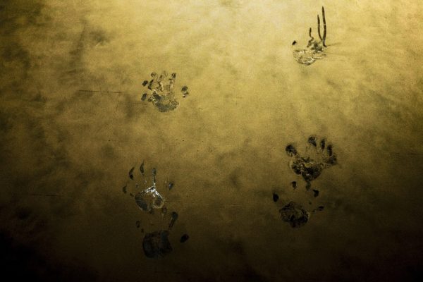 antoniopaucar6 antoniopaucar6