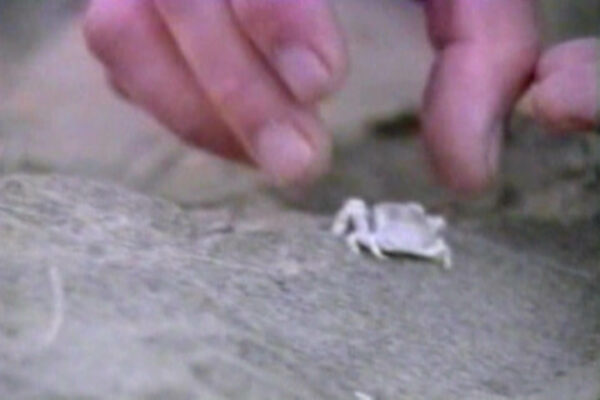 PDVD_026