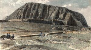 Dinh Q Lê - The Colony