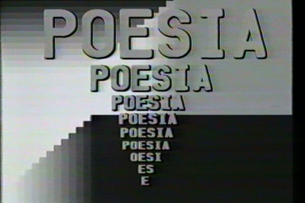 Per una videopoesia