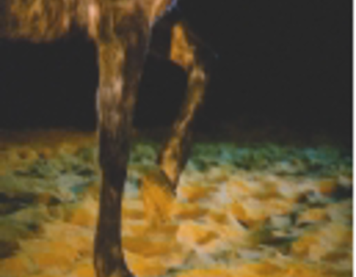 VIDEOGRAFIAS INVISIBLES - 17 (1)