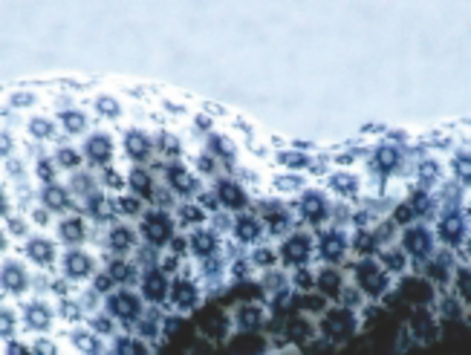 VIDEOGRAFIAS INVISIBLES - 27 (1)