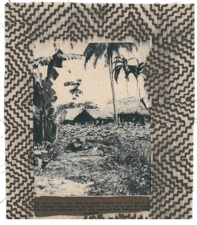 tocuyo_luzmaritarodriguez1