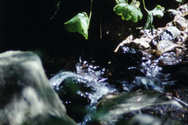 Fotograma de La Source de la Loire (2019-2021)